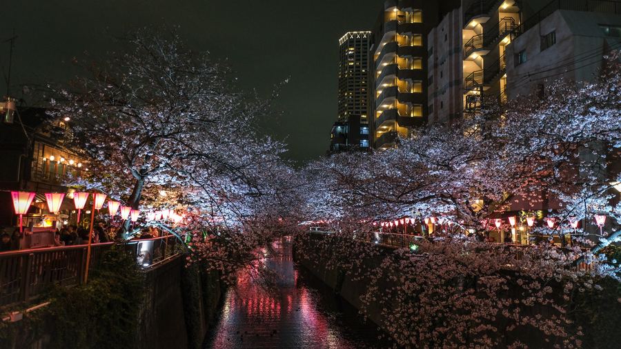 Osaka arrival
