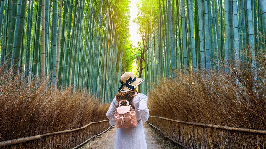 Arashiyama bamboo